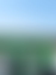 3/10(金)スネオヘアー「Suneohair Live 333」＠下北沢 近道 Live【TICKET THANK YOU!SOLD OUT】会場から生配信ライブ決定!