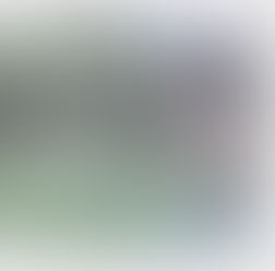 ALBUM「ツンドラ」