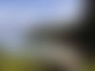 A beach in Thailand surrounded by trees