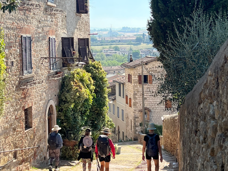 The Camino - A Catalyst For Change