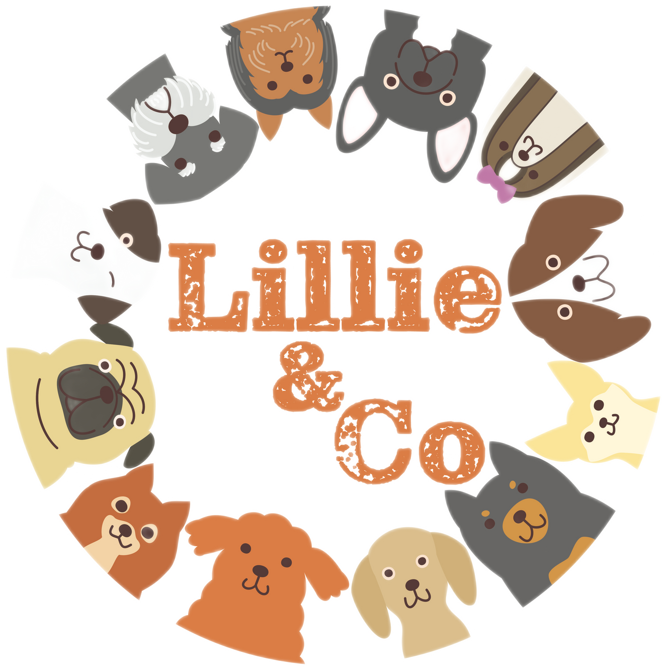 Lillie&co