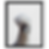 Thumbnail: Sassy Silkie Framed Canvas