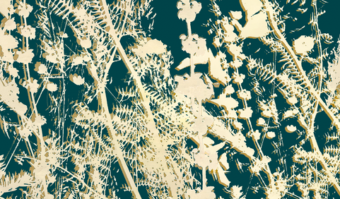 Screenshot 2022-03-24 at 22.27.22.png