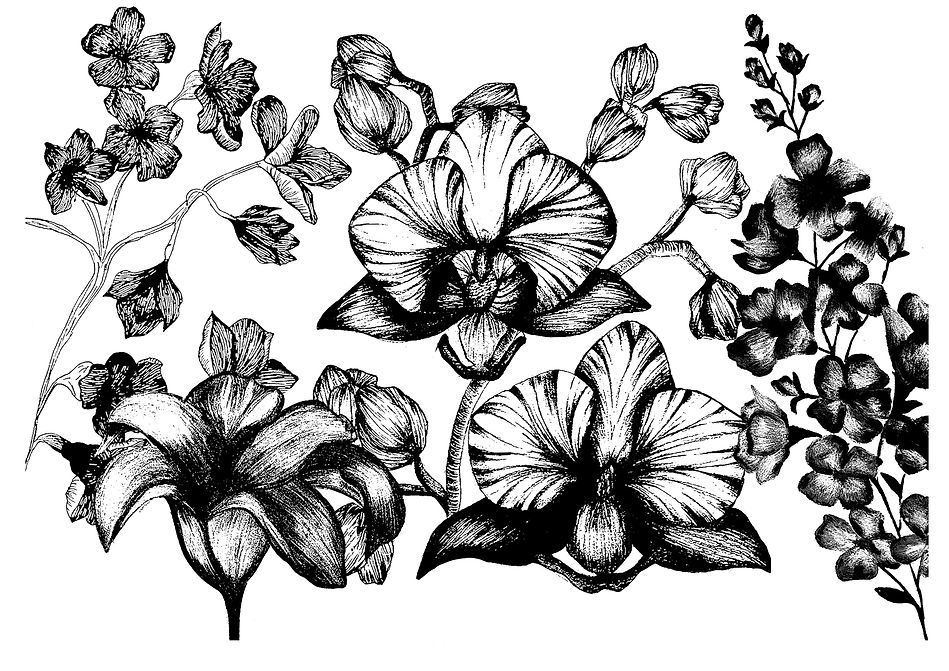 drawing board copy_edited.jpg