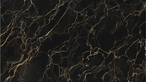 Untitled design - 2026-07-31T075832.699.png