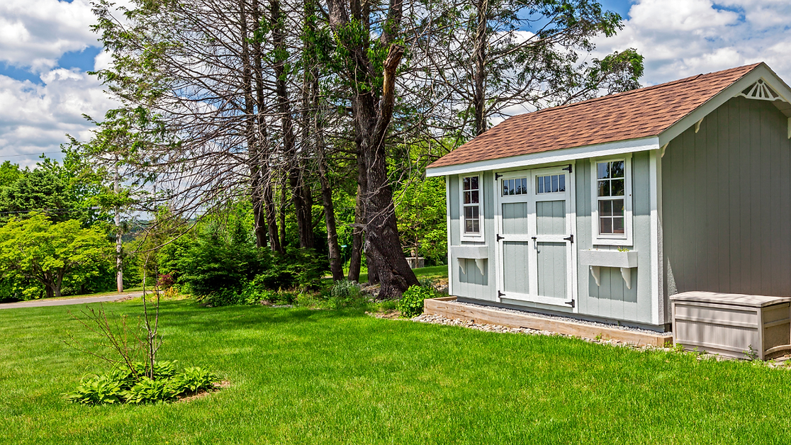 Black Simple Beautiful Lake Documentary Film Youtube Thumbnail (2).png