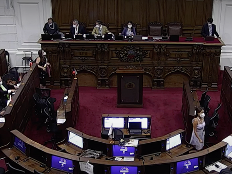 Nueva Constitución: voluntad popular o voluntad de las elites