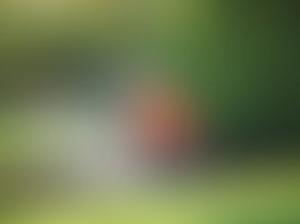 Man in orange shirt and blue hard hat fixing a sprinkler in a well-maintained garden. Water sprays and sunlight illuminates lush greenery.