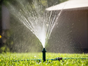 Garden sprinkler watering lush green grass.