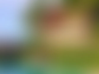 A tropical house with balconies and large windows is set beside a pool, surrounded by palm trees and lush greenery against mountains.