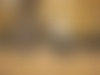 Fall Prevention Exercises: Can Exercise Prevent Falls?