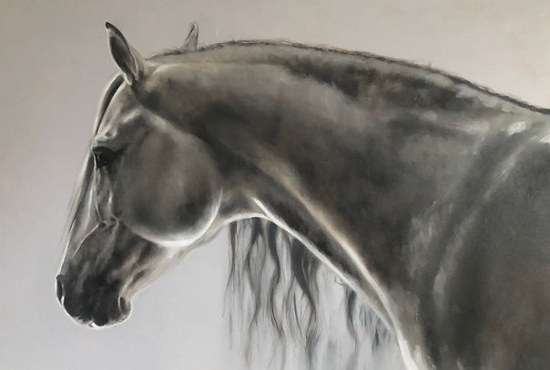 LIPIZZAN_edited_edited.jpg