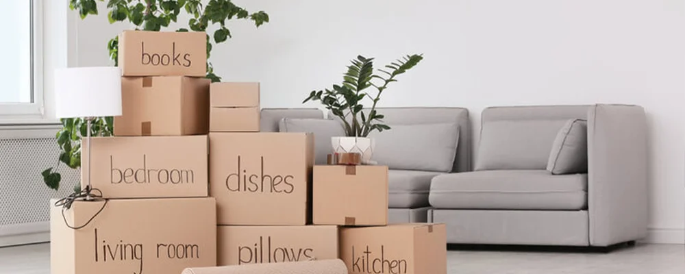 moving day.webp