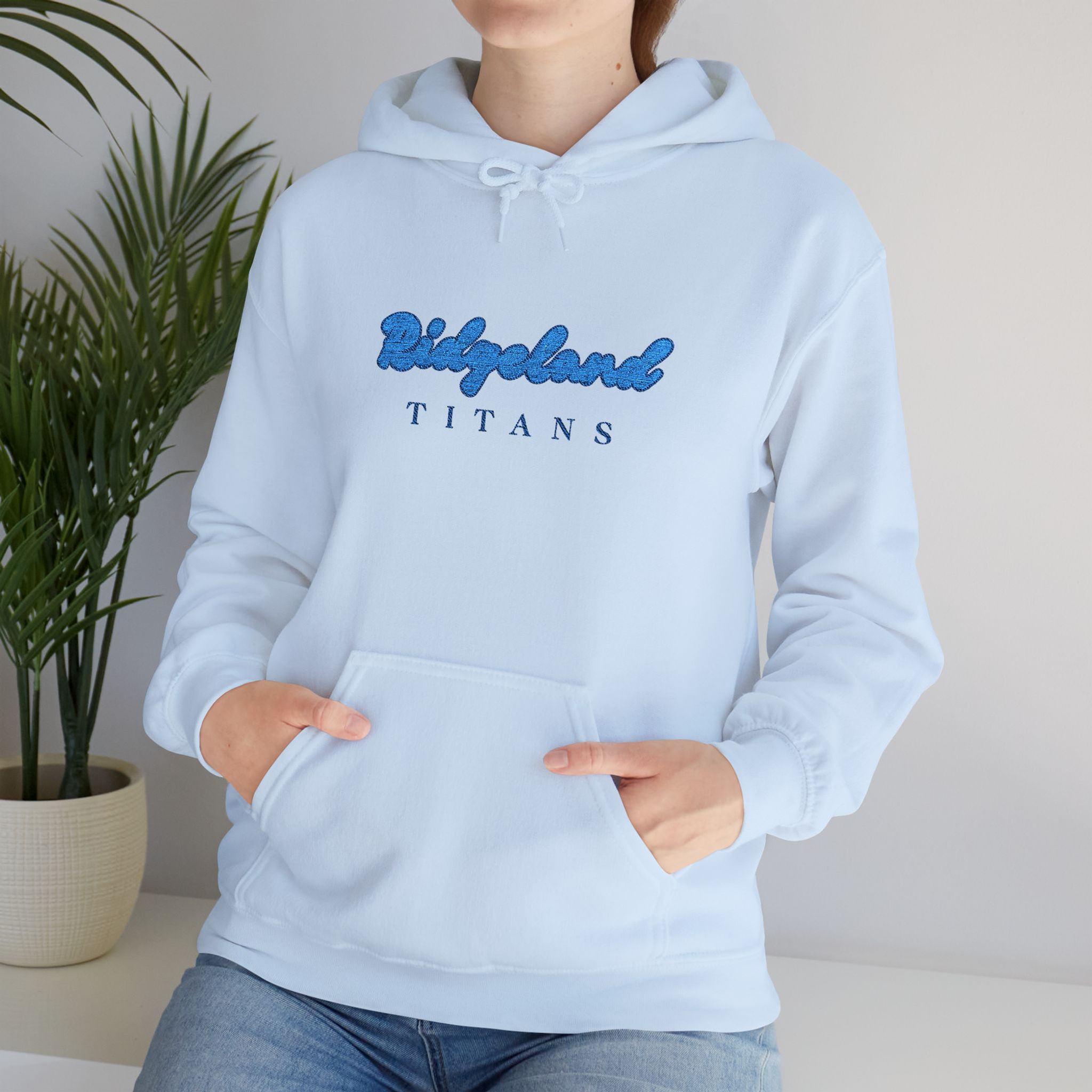 Unisex Ridgeland Titans Heavy Blend Hoodie (Embroidery)