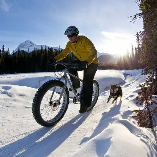 biking with dog