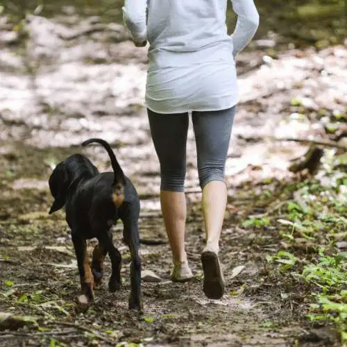 running with dog