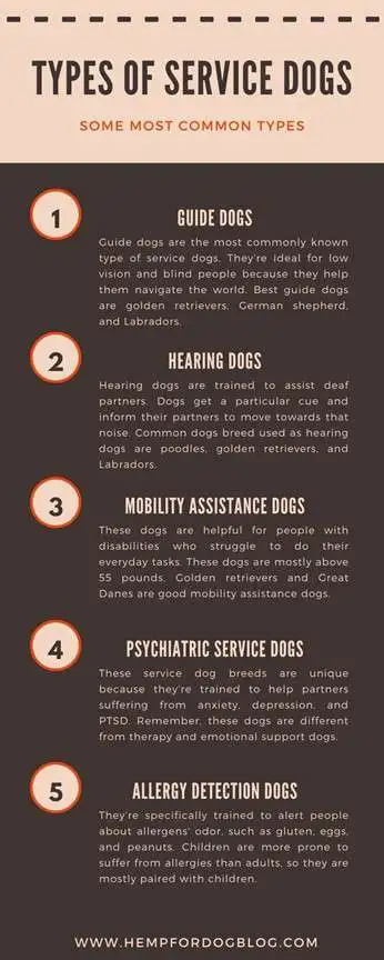 service dog guide