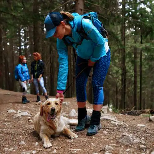 hiking with dog