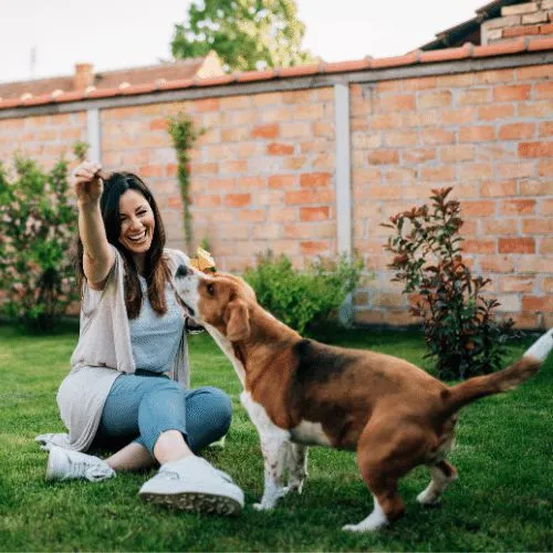 spending time with dog