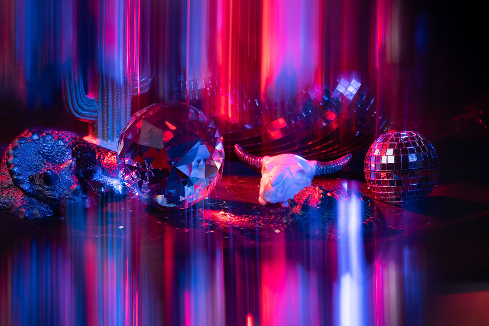 The set of "Catnip Fever Dream" included my skull/cactus salt and pepper shakers, a tiny disco ball plant grinder, two miniature sleeping triceratops, an orb from Prism Lens FX and a larger rainbow disco ball heart