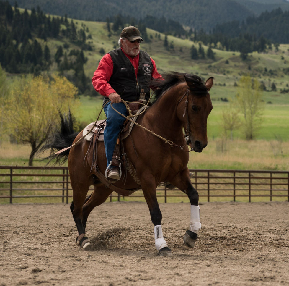 Person riding a horse in an outdoor arena.