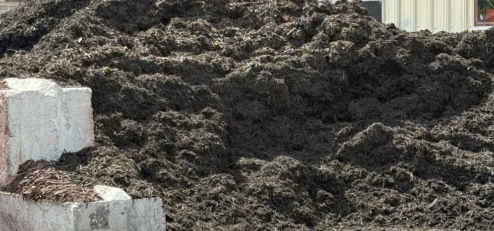 topsoil delivery Fayetteville AR
bulk topsoil near me Northwest Arkansas
garden soil supplier Fayetteville Arkansas
fill dirt delivery Fayetteville AR
screened topsoil Fayetteville AR landscaping
bulk topsoil Springdale AR
topsoil supplier Rogers Arkansas
fill dirt Bentonville AR
organic garden soil Fayetteville AR
topsoil for lawns NWA