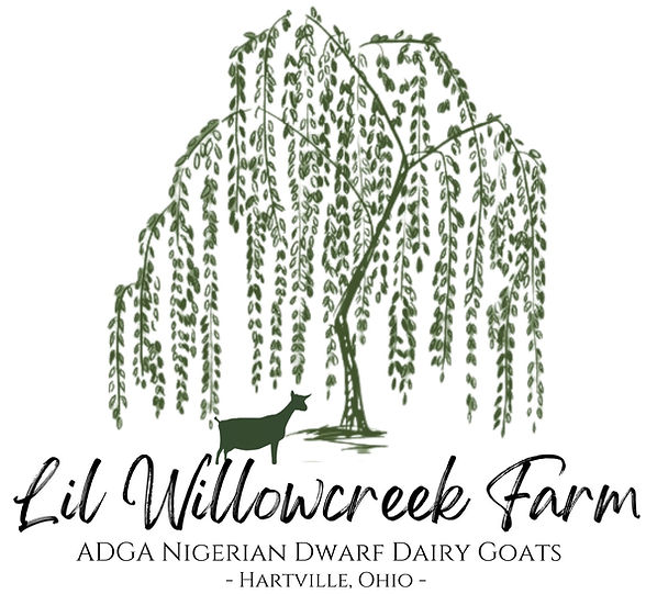 Add a heading (8)_edited.jpg