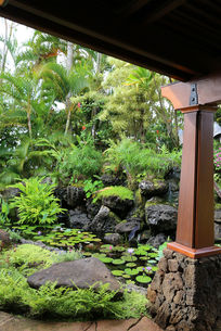 HH-B- Ext Landscape-3.jpg