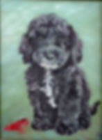 Cockapoo puppy portrait commission