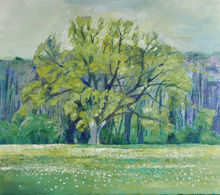 large tree with green foliage