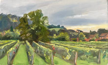 Grape vines with a tree in the background and some houses
