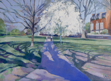 Blue tree shadow with white blossom and red brick houses
