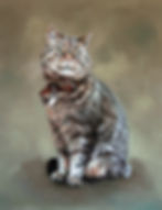Freddie the cat