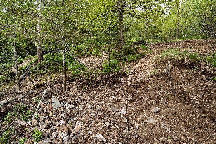 Pingenhalde_Grubenfeld_Alter-Beerberg_Niederschelden_7654_Reinhardt MineralienfotografieMa