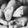 Writer: A DeCuire