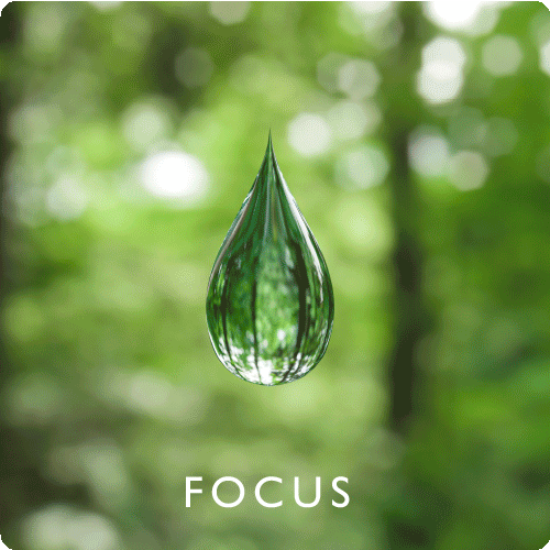 Focus.gif