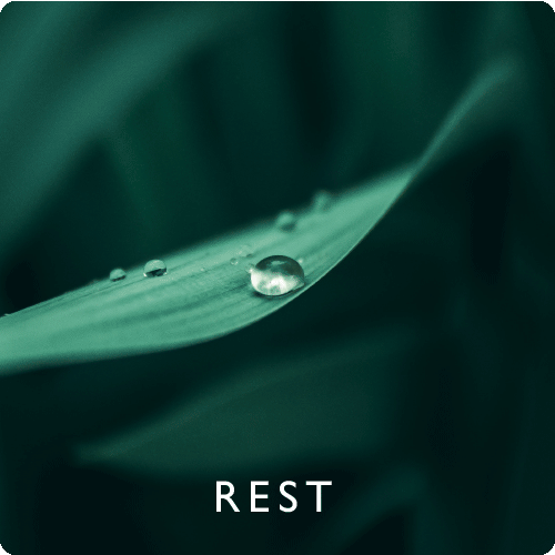Rest.gif