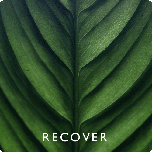 Recover.gif
