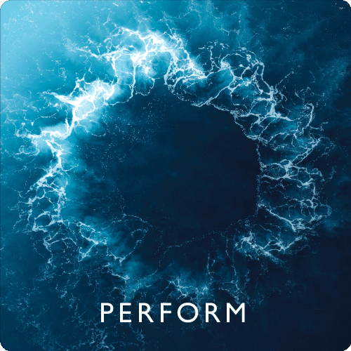 Perform.gif