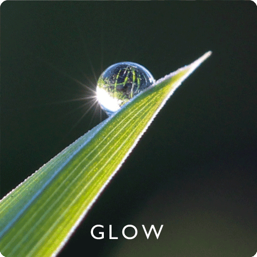 Glow.gif