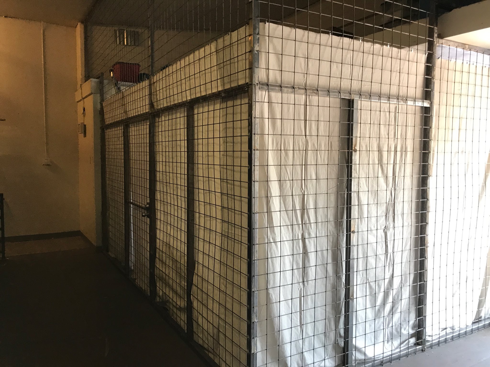 Cube Rental