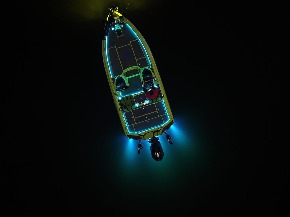 Underwater Fishing Lights: Can RGB Lighting Work for Different Fish?