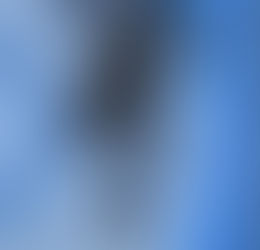 アカハライモリ