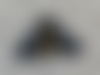 ウメエダシャク