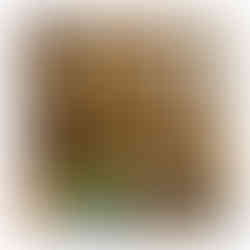 Holzschild „Bratort“ aus Holz – lustige Deko und originelle Geschenkidee für Grillmeister, Küche und Grillplatz.