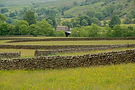 Dry_stone_fences_in_the_Yorkshire_Dales,_England.jpg