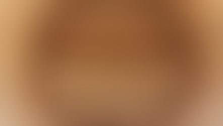 Bata Api (Fire Brick) untuk Boiler