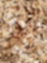 6ddf66857173fea841ff6737700969e9_edited.jpg