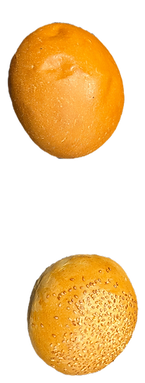 Pain burger complet healthy