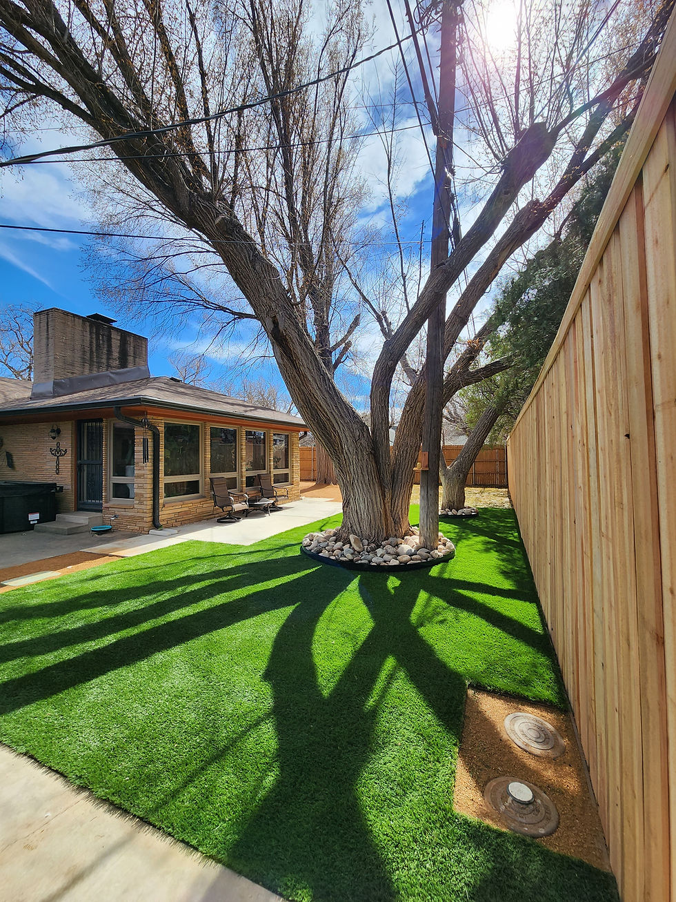 Kings Lawn Project